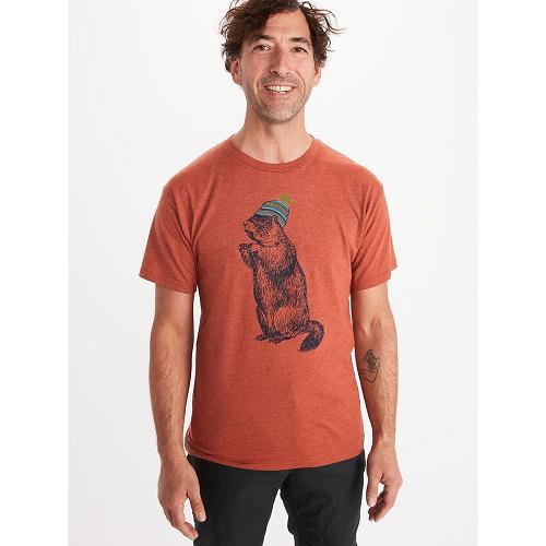 Marmot Clothes Multicolor NZ - Pom Pom T-Shirts Mens NZ2164730